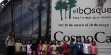 Visita a la exposición El Bosque. 1º 2º Primaria. CEIP Pinocho. 2016/17 9