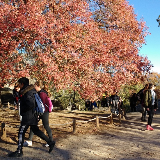 SALIDA EF BOSQUE HERRERIA 5