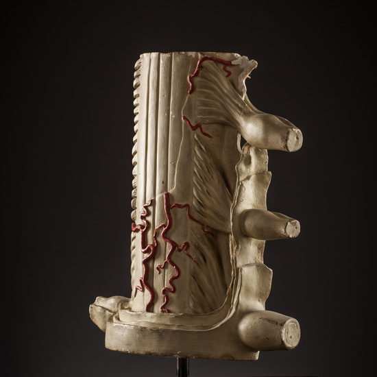 IES_SANISIDRO_BIOLOGIA_258