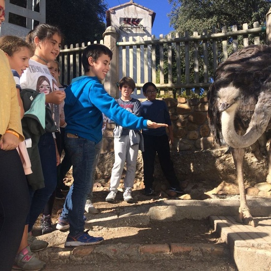 Mohernando 2017_4 17