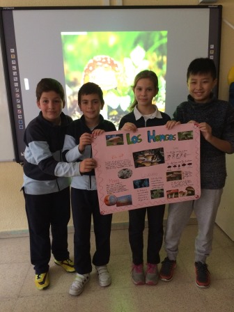 2016_12_Quinto A_Aprendizaje Cooperativo en CCNN 24