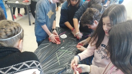 2018_02_09_DISECCION CORAZON Y PULMONES_SEXTO_CEIP FDLR_LAS ROZAS 9