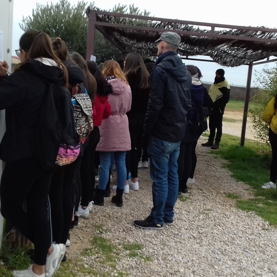 2020-01-15 visita rainfer 3