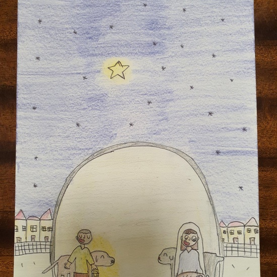 POSTALES E. PRIMARIA 21