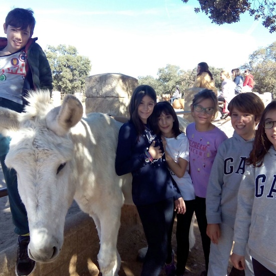 Moheranado 2017_24oct 9