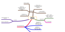 Mapa Mental_Educa Madrid_Yara R