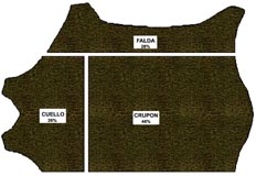 Distribución del peso