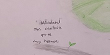 Video poema 11 