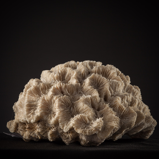 IES_SANISIDRO_BIOLOGIA_432