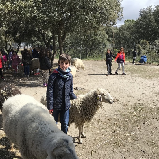 Granja Escuela “El Álamo” 3º y 4º EP_1 48