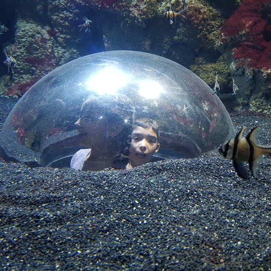 Aquarium Xanadú II 3ºB  20