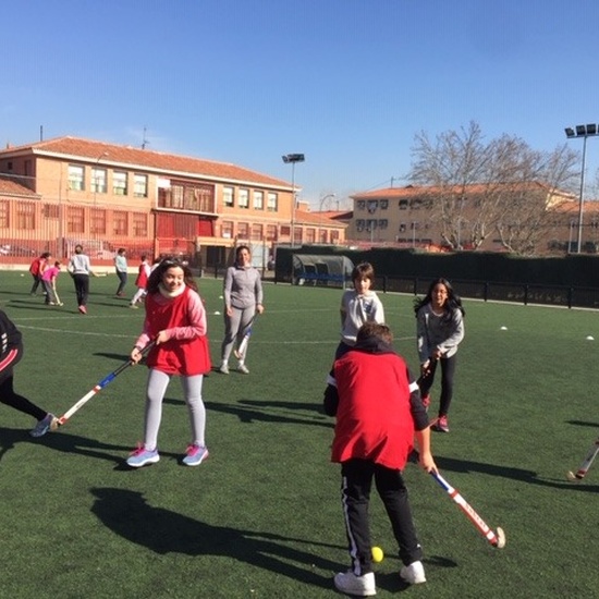 MAÑANAS ACTIVAS. Polideportivo San Vicente de Paul 1. Boxeo, Rugby, Padel y Hockey 7