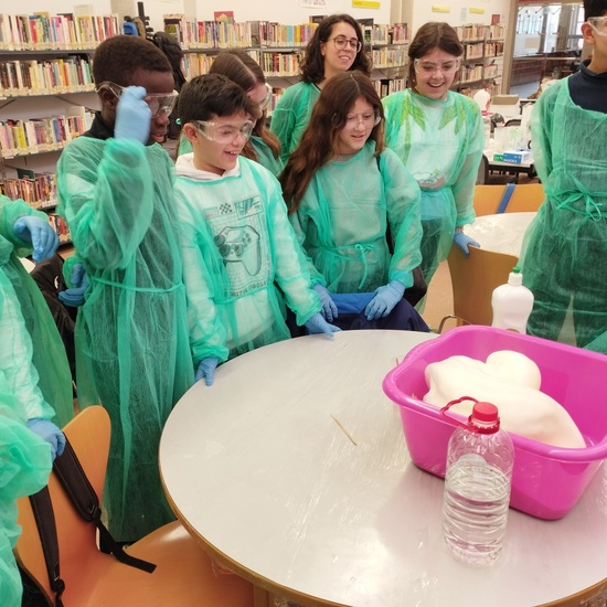 Día de la Mujer Científica (11-2-2024) (27)