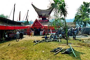 Organización de los fastos para un funeral, cultura Toraja, Sula