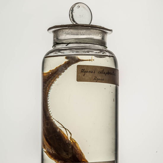 IES_CARDENALCISNEROS_CIENCIASNATURALES_133