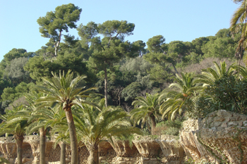 Zona de jardines, Parque Güell, Barcelona