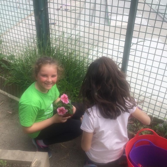 2019_05_Los alumnos de 4º en el Huerto_CEIP FDLR_Las Rozas 15