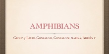 P2_NS Amphibians A