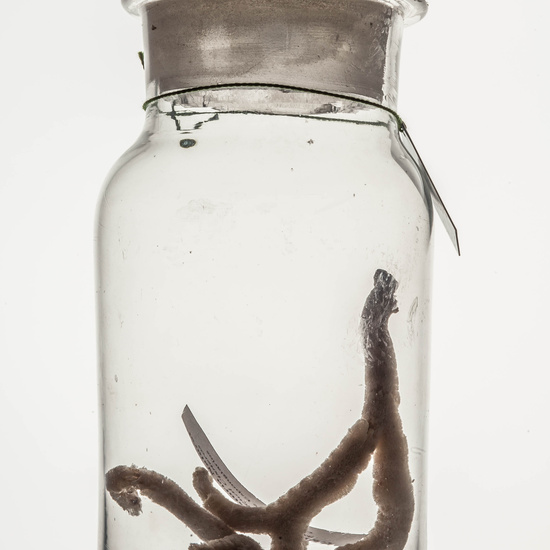 IES_CARDENALCISNEROS_CIENCIASNATURALES_072