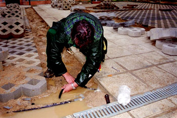 Instalación del sistema de riego