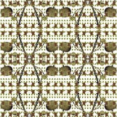 Doble guirnalda de sámaras sobre hojas