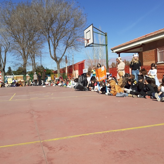 CARNAVAL CIUDAD PEGASO FEBRERO '20 II 9