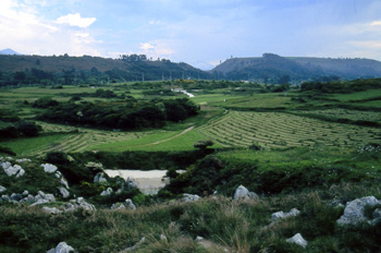 Vista hacia el sur de la Playa de Gulpiyuri, Llanes, Principado