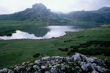 Norte de la península