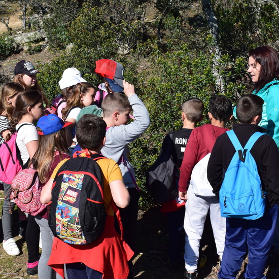 Sendero Vivo 3º Primaria 2018 8