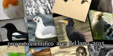 CONCLUSIONES CIENTÍFICAS AVES IES LARRA 