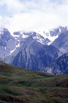 Cimas entre nubes