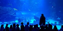 Aquarium Xanadú II 3ºB 