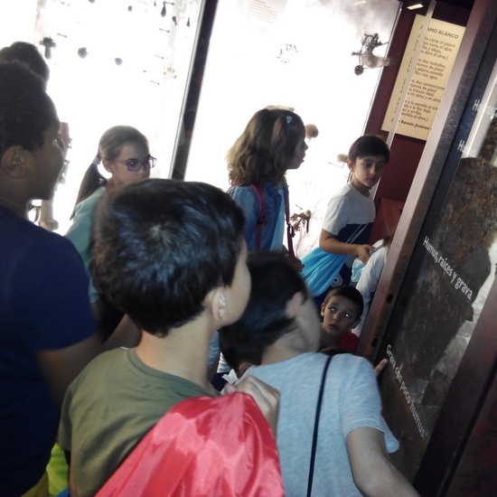 Visita a la exposición El Bosque. 1º 2º Primaria. CEIP Pinocho. 2016/17 4