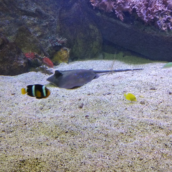 Visita al zoo 2019 29