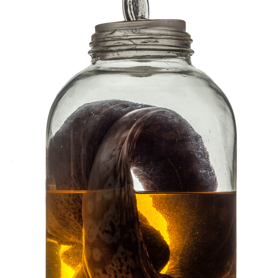 IES_RAMIRODEMAEZTU_BIOLOGIA_086