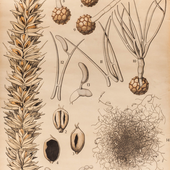 IES_SANISIDRO_LAMINAS_004