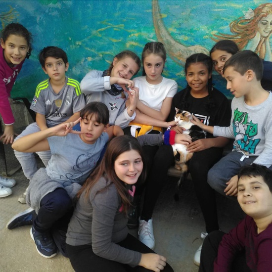 NOCHE MÁGICA 2019 (1ª parte) 10