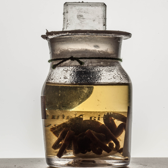 IES_CARDENALCISNEROS_CIENCIASNATURALES_076