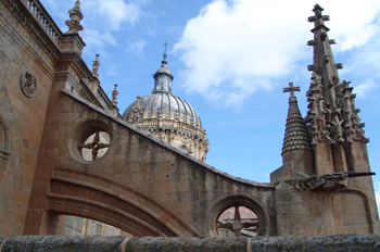 Arbotante de la Catedral Nueva de Salamanca, Castilla y León