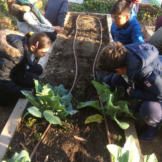 2020_02_24_Diario de Juan el Hortelano de enero de 2020 4