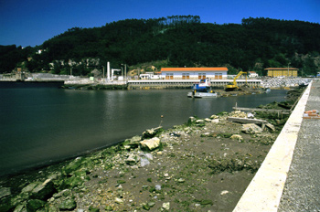 Puerto de San Juan de la Arena, Principado de Asturias