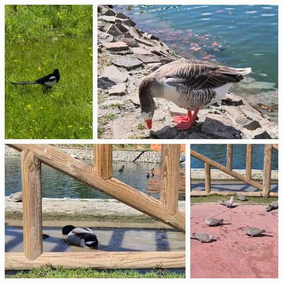 Alhóndiga Park - collage 3