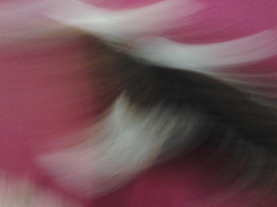 Barrido de imagen a partir de objetos en forma de línea