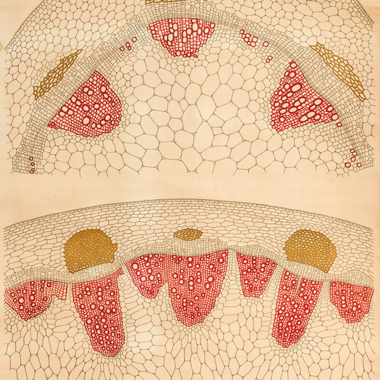 IES_LOPEDEVEGA_CIENCIASNATURALES_015
