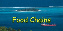 Food Chain 1
