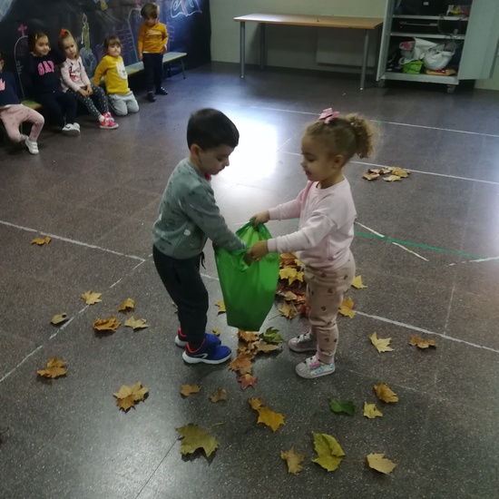 Día 05 de noviembre 8