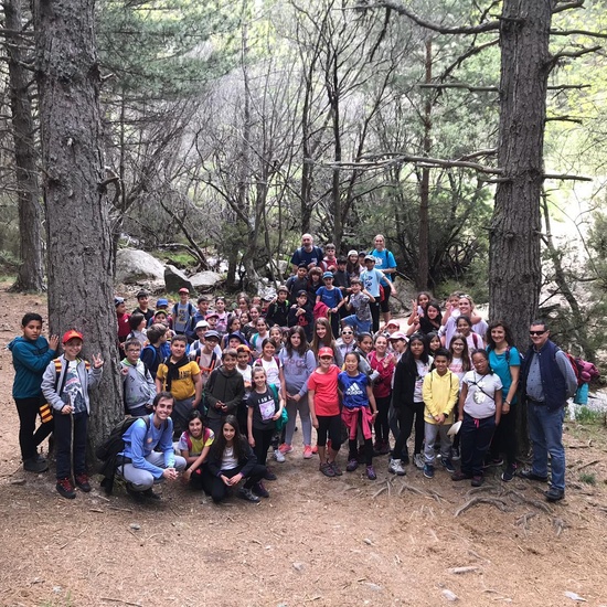 NIÑAS/OS DE 5º NATURALEZA VIVA EN LA PEDRIZA. HOSTOS POR EL PLANETA 11