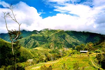 Laderas del valle con casas y caminos de acceso, Irian Jaya, Ind