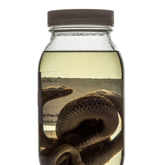 IES_RAMIRODEMAEZTU_BIOLOGIA_088