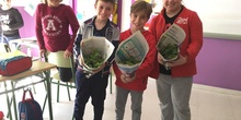 NUEVOS FRUTOS DEL HUERTO ESCOLAR 1